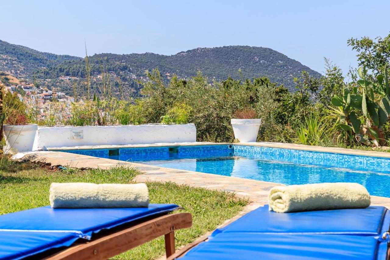 Villa Rodia With Swimming Pool On Skopelos Island Eksteriør billede